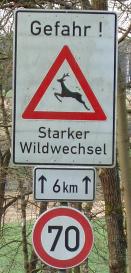 Gefahr! Wildwechsel!